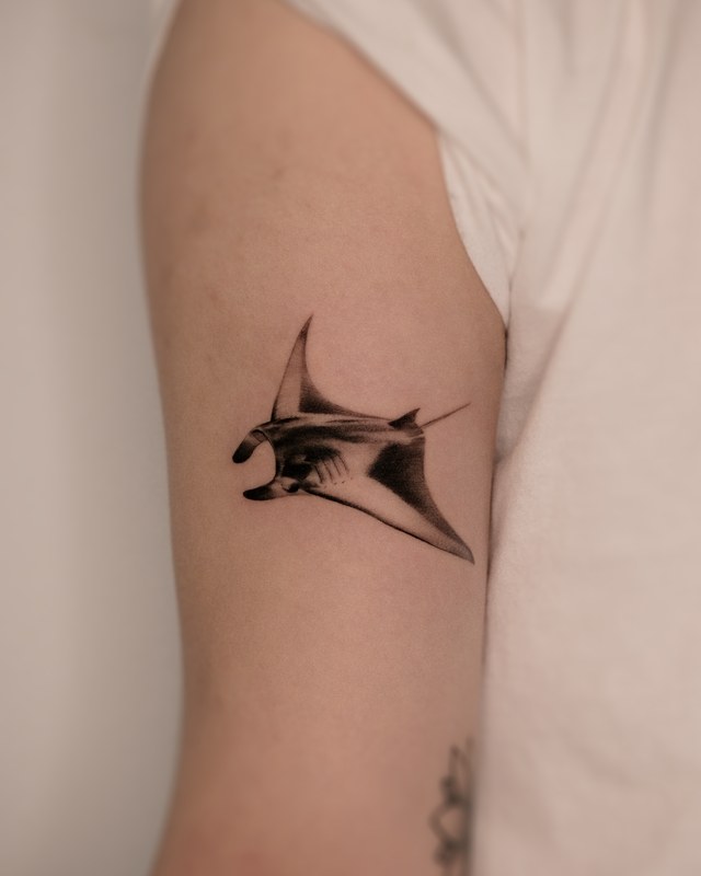 A manta ray tattooed on the arm