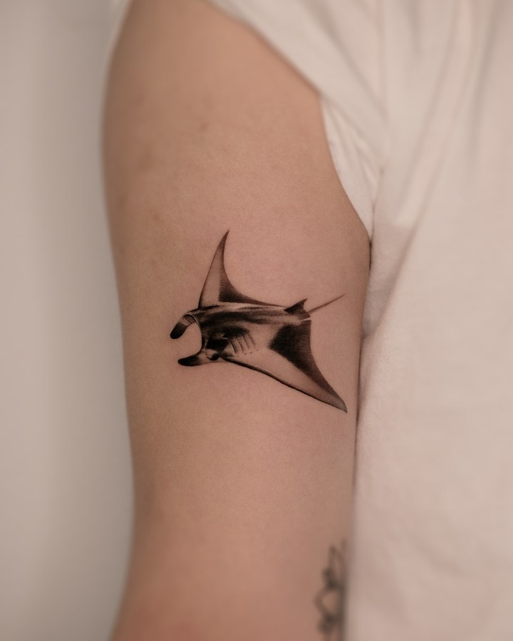 A ray tattooed on the arm