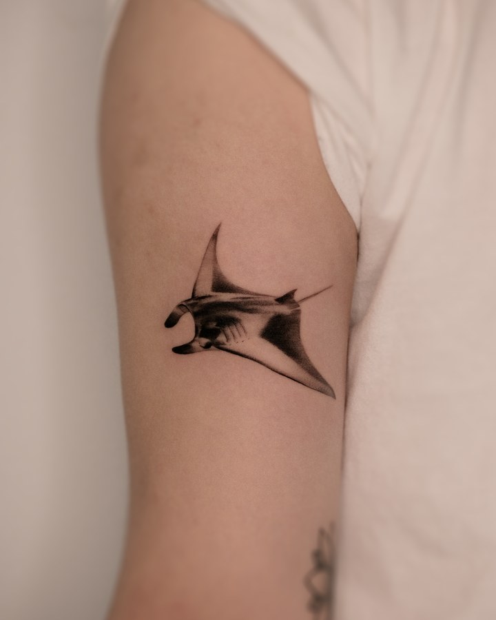 A ray tattooed on the arm