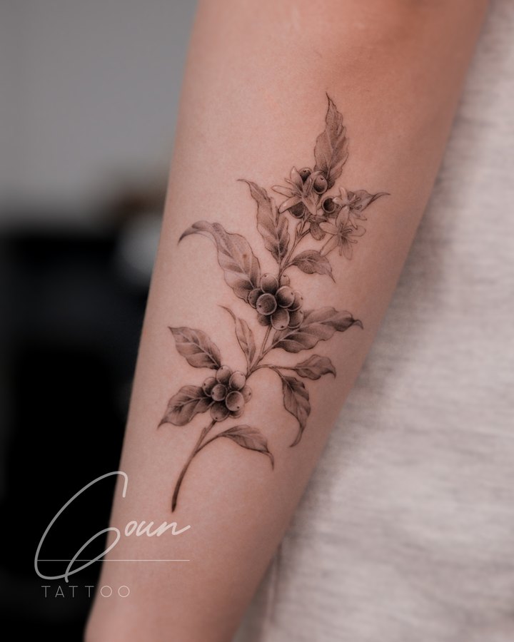 A coffee branch with berries, tattooed on the arm